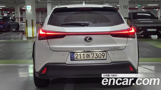 Lexus UX250h, 2024 4