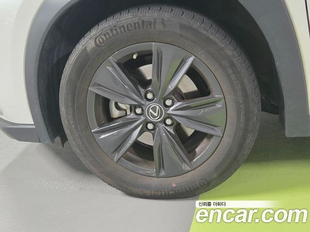 Lexus UX250h, 2024 все фото