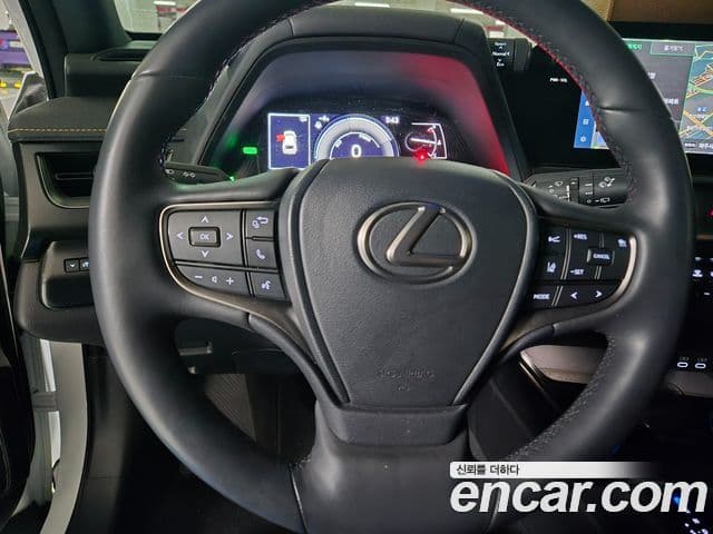 Lexus UX250h, 2024 6