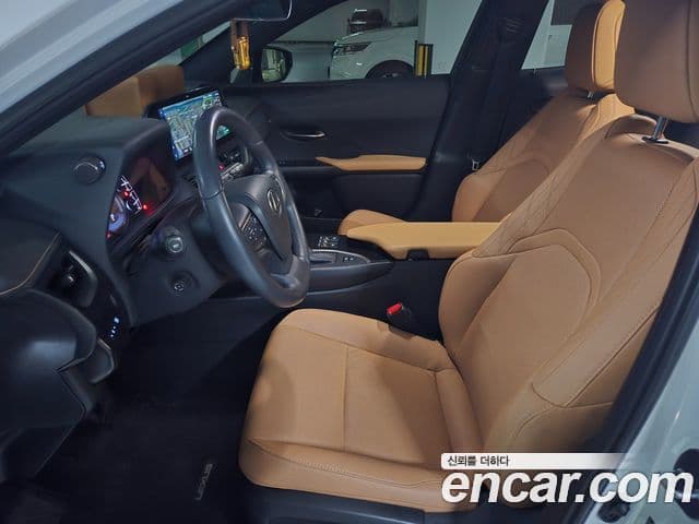 Lexus UX250h, 2024 7