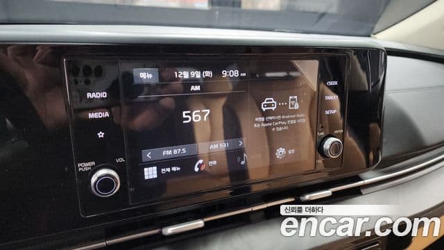 Kia Carnival 4세대 Prestige, 2021 14