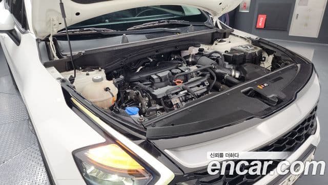 Kia Sportage 5세대 Trendy, 2022 6