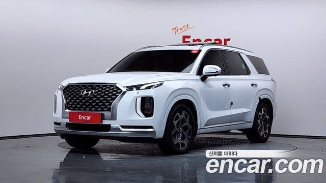 Hyundai Palisade VIP, 2021 1