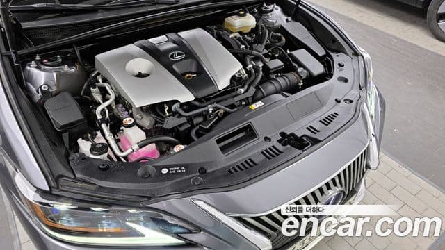 Lexus ES300h 7세대 Executive, 2021 6
