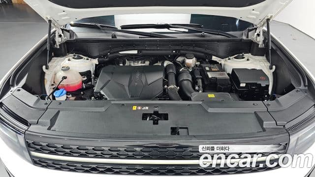 Hyundai Santa Fe (MX5) Calligraphy, 2024 6