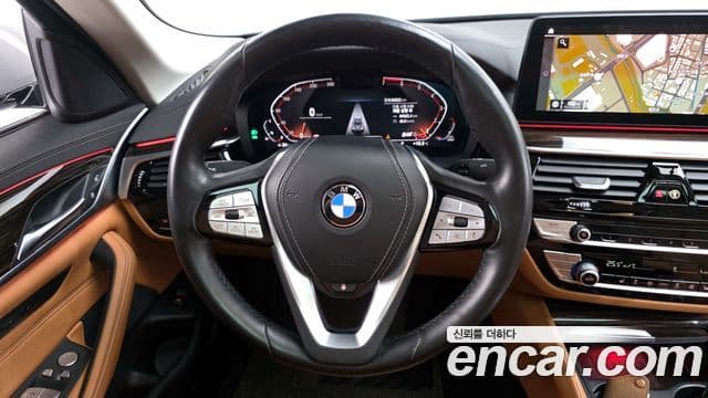 BMW 5시리즈 (G30) Luxury, 2021 13