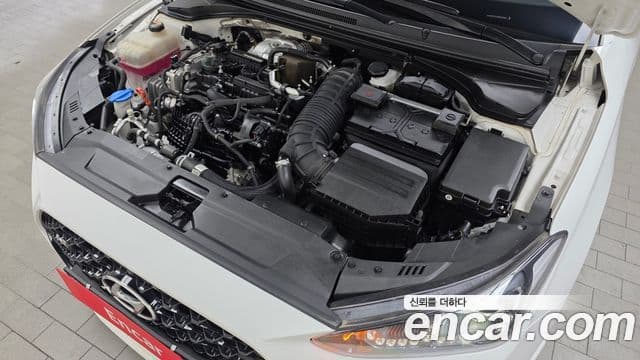 Hyundai Veloster (JS) 2.0 N, 2022 6