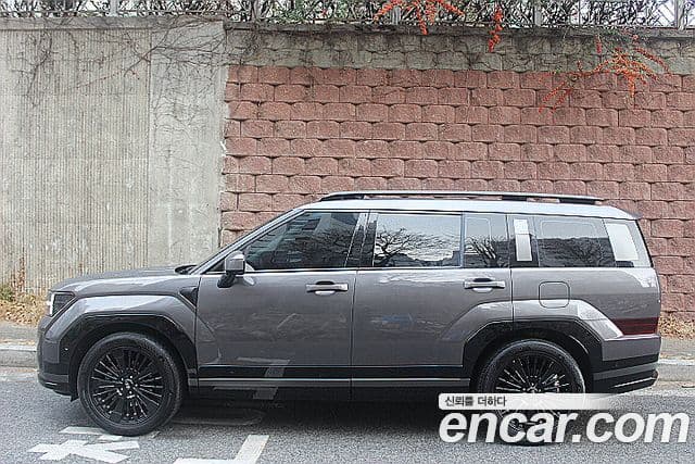 Hyundai Santa Fe (MX5) Calligraphy, 2024 все фото