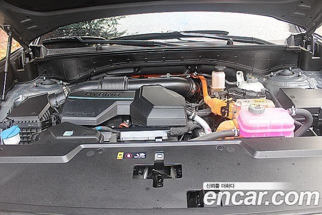 Hyundai Santa Fe (MX5) Calligraphy, 2024 6