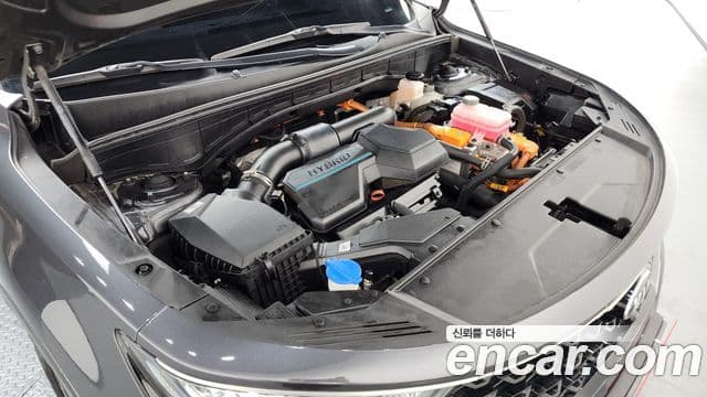 Kia Sorento 4세대 Signature, 2021 6