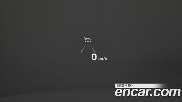 Hyundai Palisade Prestige, 2019 18