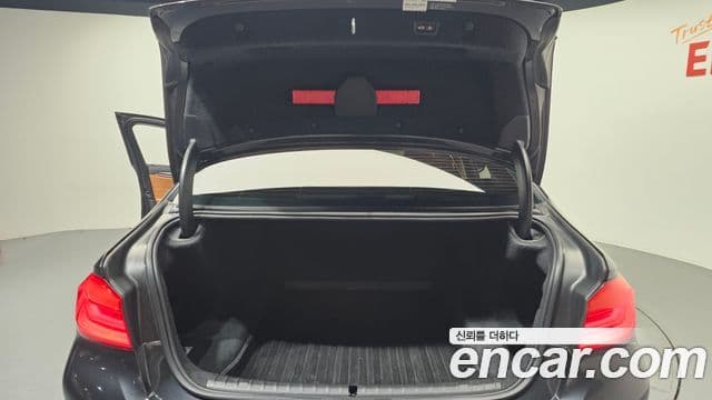 BMW 5시리즈 (G30) 520d Luxury Special Edition, 2018 20