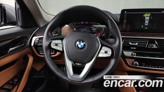 BMW 5시리즈 (G30) Luxury, 2023 13