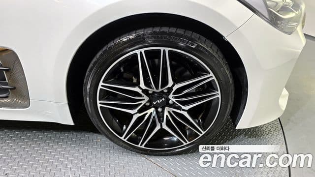 Kia 스팅어 마이스터 Masters, 2022 все фото