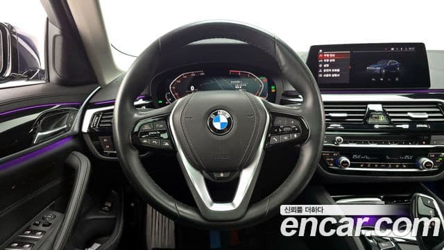 BMW 5시리즈 (G30) Luxury, 2020 13
