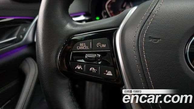 BMW 5시리즈 (G30) Luxury, 2020 16