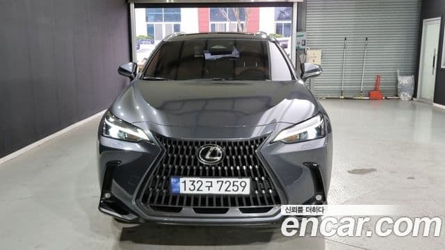 Lexus NX350h 2세대 Premium, 2024 1