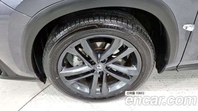 Lexus NX350h 2세대 Premium, 2024 все фото