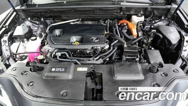 Lexus NX350h 2세대 Premium, 2024 6