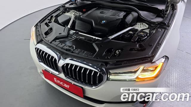 BMW 5시리즈 (G30) Luxury, 2022 6