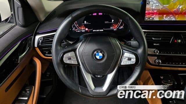 BMW 5시리즈 (G30) Luxury, 2022 15