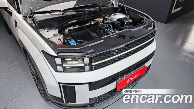 Hyundai Santa Fe (MX5) Calligraphy, 2024 6