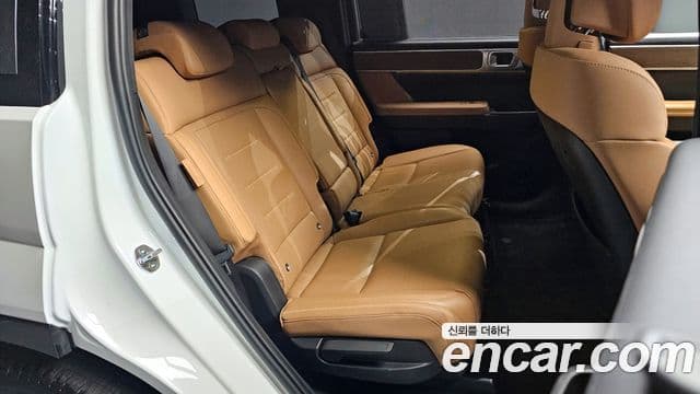 Hyundai Santa Fe (MX5) Calligraphy, 2024 12