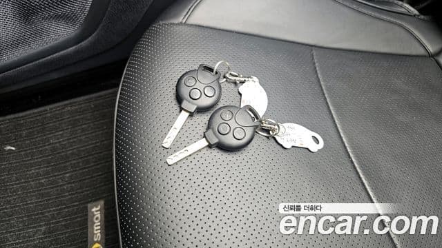 Smart 포투 카브리오 Pulse MHD, 2014 18