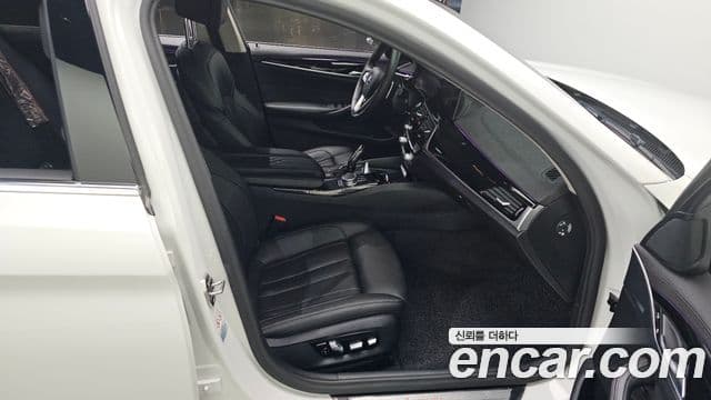 BMW 5시리즈 (G30) Luxury, 2020 12