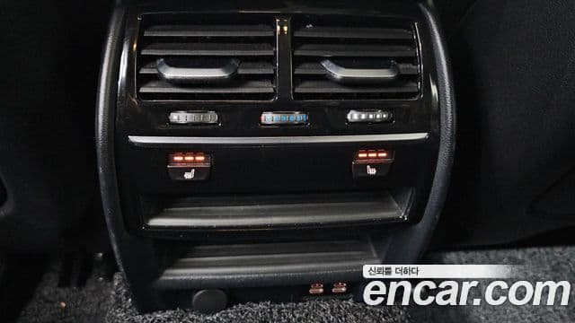 BMW 5시리즈 (G30) Luxury, 2020 19