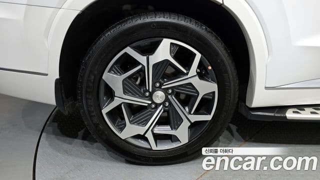 Hyundai Palisade Calligraphy, 2021 все фото