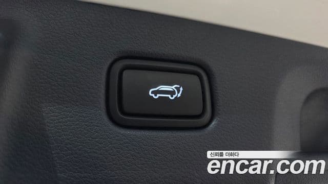 Hyundai Palisade Prestige, 2021 20