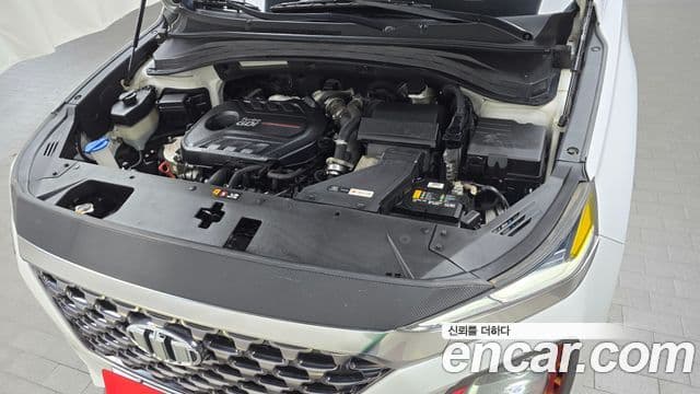 Hyundai Santa Fe TM Inspiration, 2019 6