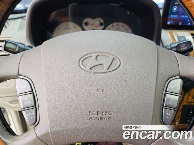 Hyundai 테라칸 люксовая версия, 2004 16