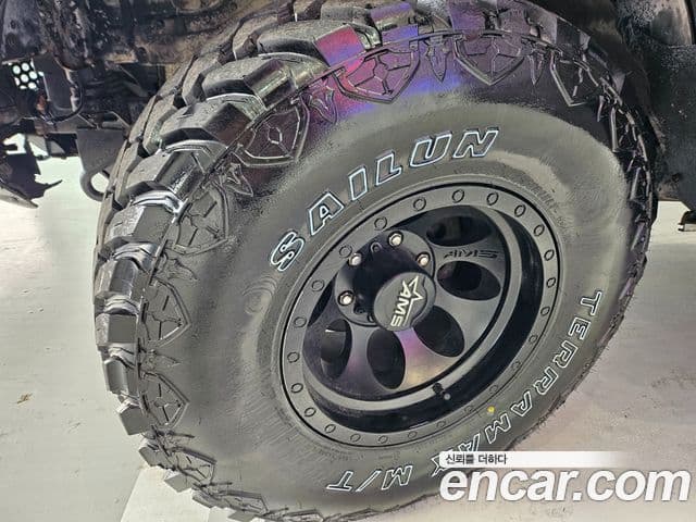 Hyundai 테라칸 люксовая версия, 2004 19