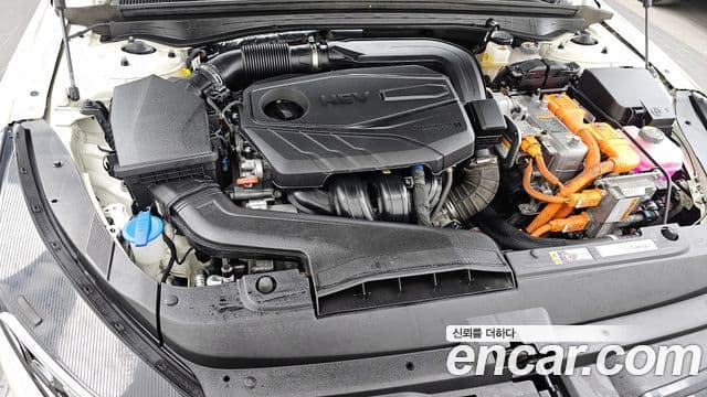 Kia K5 гибрид 3세대 Noblesse, 2023 6