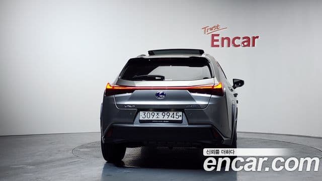 Lexus UX250h, 2021 4