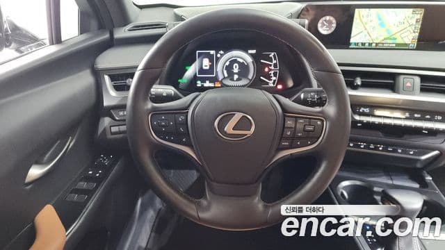 Lexus UX250h, 2021 13
