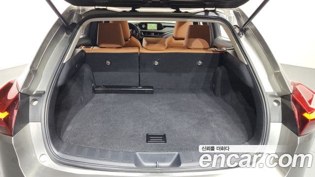 Lexus UX250h, 2021 20