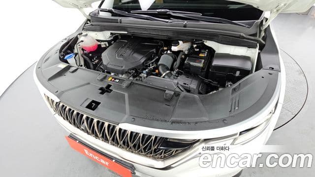 Kia Carnival 4세대 Prestige, 2023 6