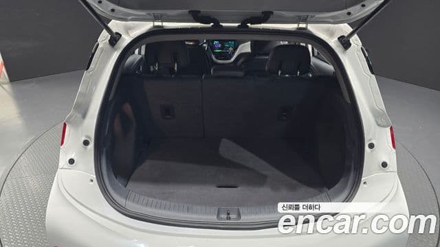 Chevrolet(GM대우) 볼트 EV EV LT Deluxe, 2020 19