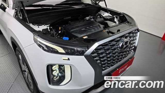 Hyundai Palisade Exclusive, 2021 6