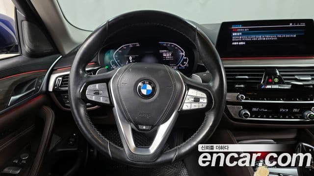 BMW 5시리즈 (G30) Luxury, 2020 13