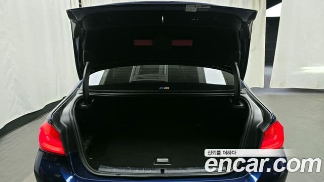 BMW 5시리즈 (G30) Luxury, 2020 20