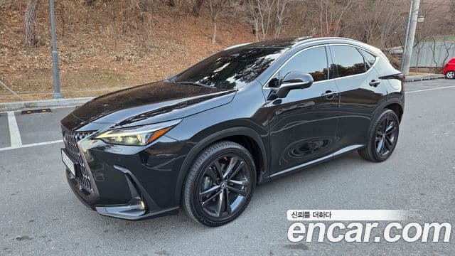 Lexus NX350h 2세대 Premium, 2023 3