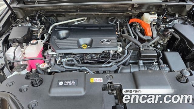 Lexus NX350h 2세대 Premium, 2023 8