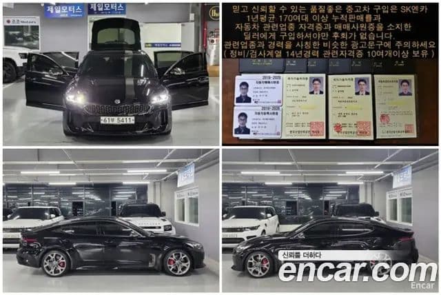 Kia 스팅어 Platinum, 2018 11