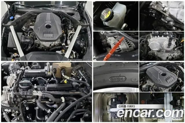 Kia 스팅어 Platinum, 2018 19