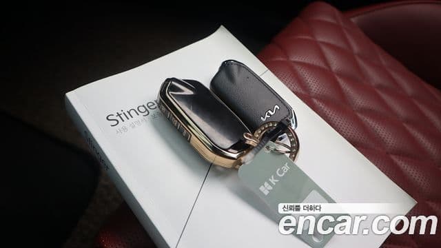 Kia 스팅어 마이스터 3.3 GT AWD, 2022 20