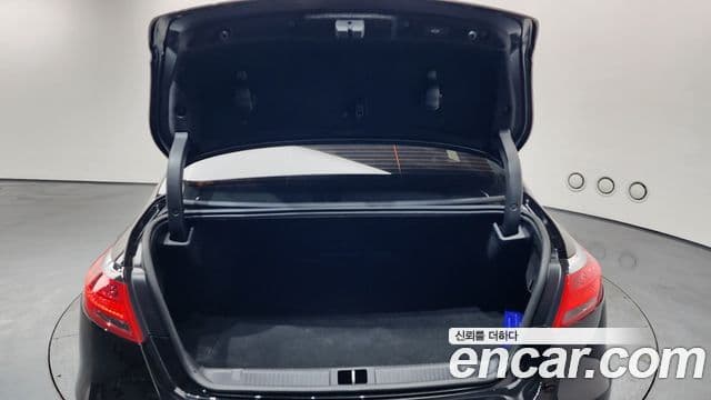 Renault Korea(Samsung) SM7 Nova LPLI 2.0 LPe для людей с инвалидностью, 2018 20